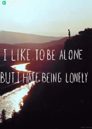the message i like to be alone but hate being lonely
