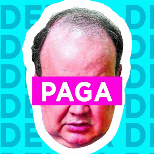 the image depicts a bald man with the word paga underneath it