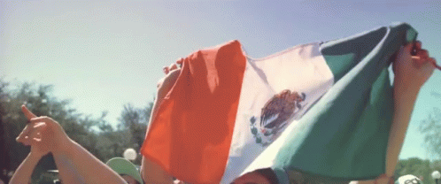 there is a flag with the mexican language on it