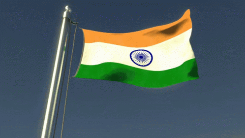 the flag of india flies high above the crowd