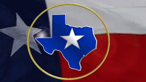 a close up of an texas state with the flag