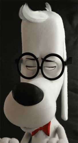 the white dog with glasses has a funny look