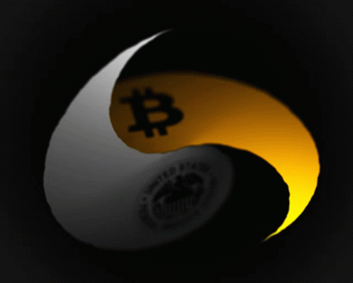 a white and blue pool ball with bitcoin