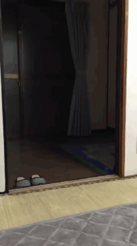 a door opens into an empty, cramped apartment