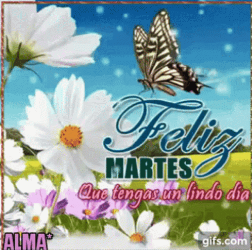 the poster shows erflies flying over flowers