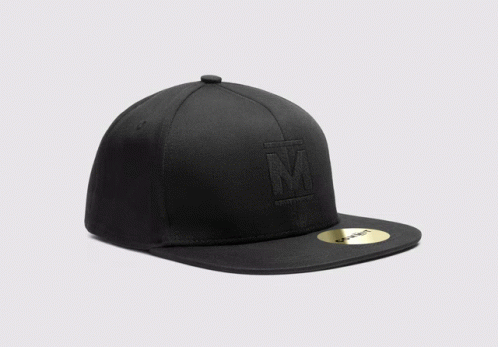 the north face snapback cap in black