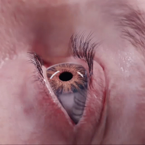 a picture of a purple eye with long eyelashes