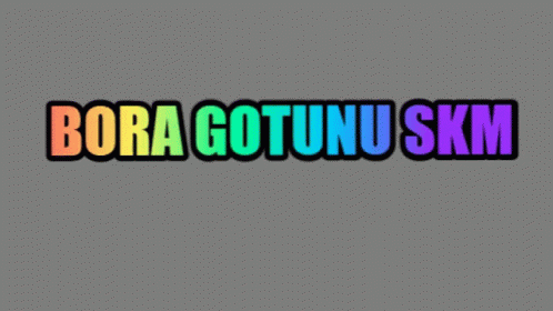the word bora gotunu skim in multicolored letters