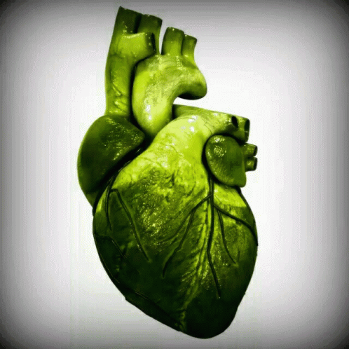 an image of a green colored human heart
