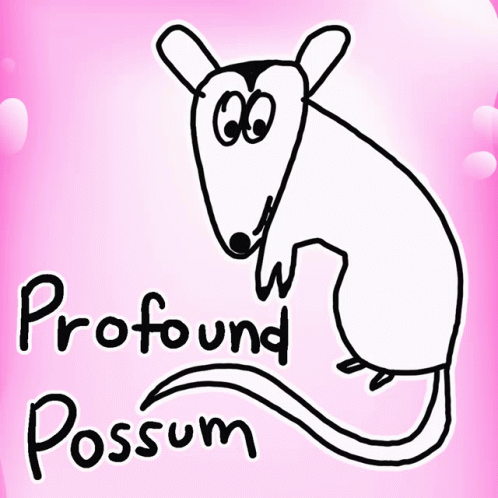 a drawing of a cartoon mouse holding a sign with the word profund possum on it