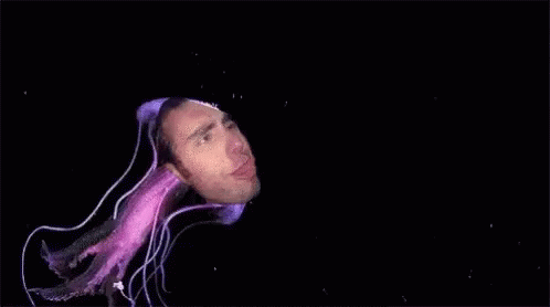 a man's face is obscured by a jellyfish net
