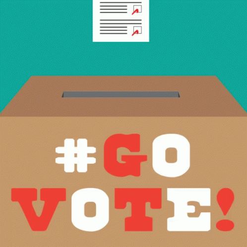 a po of the back of an open box and the words go vote