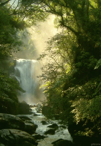 a waterfall in the distance near a forest