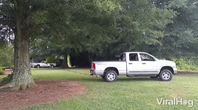 the pickup truck is parked under the tree in the driveway