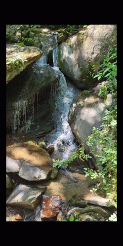 a stream with some rocks and plants in the background