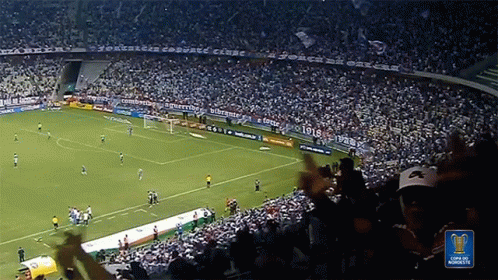 a crowded soccer stadium during a professional game