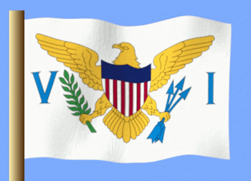 an official american flag with an eagle on the front
