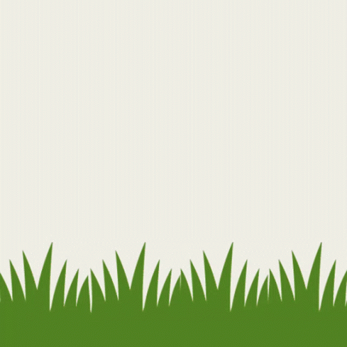 a blank sheet with green grass against a blue sky