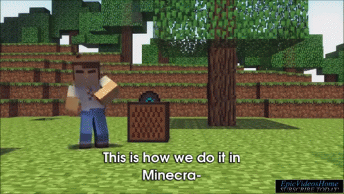 an image of a minecraft player is playing