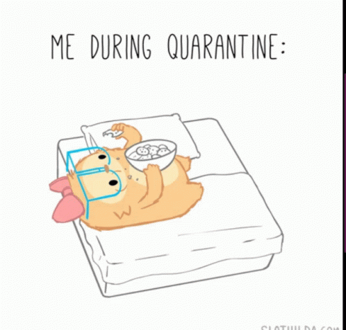 a cartoon elephant laying on a bed with the caption'me during quarantime