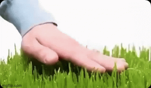 feet and fingers on the ground in grass