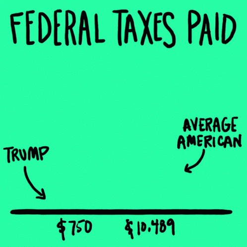 a drawing shows the effects of a tax paid