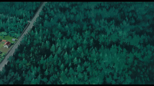an aerial s of a house sitting in a forest
