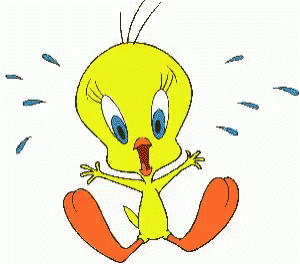 the animation of cartoon bird saying soing with his feet and arms
