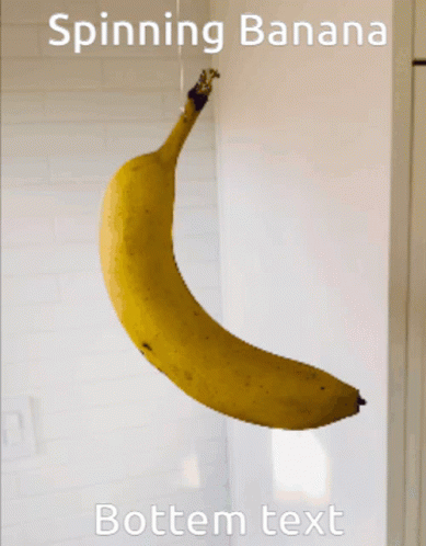 the po of a banana hanging by a string