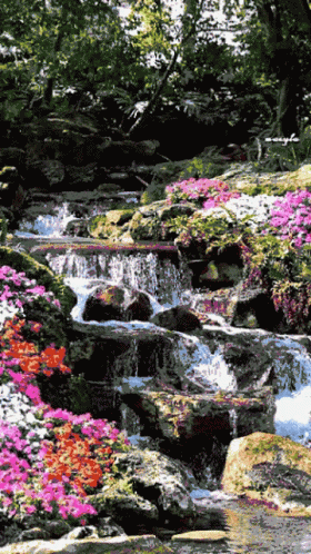 a small waterfall next to some purple flowers