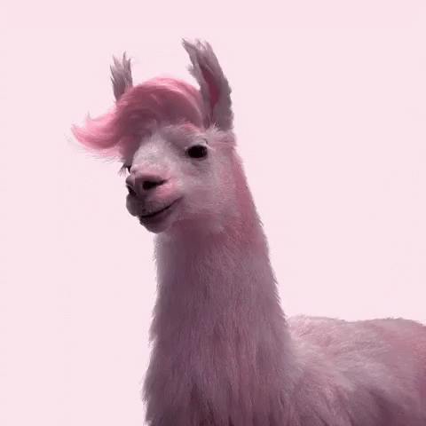 a llama with purple hair looking at the camera