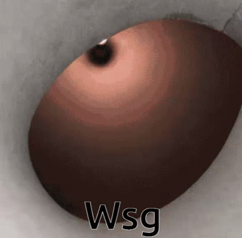 a very big round object sitting in a toilet