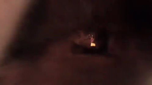 a blurry view of a cat in the dark