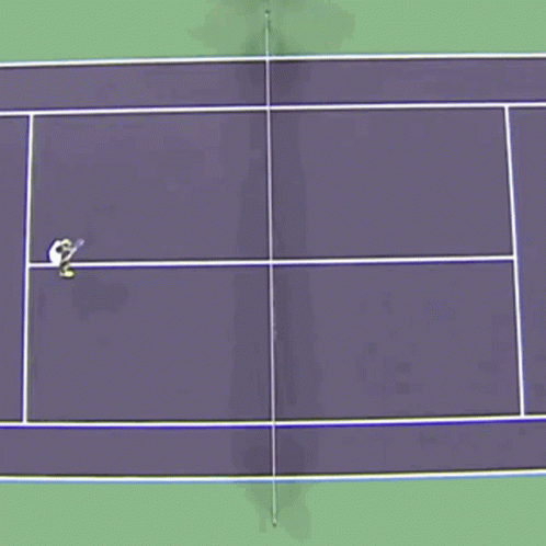 a bird's eye view of two tennis players playing on a tennis court