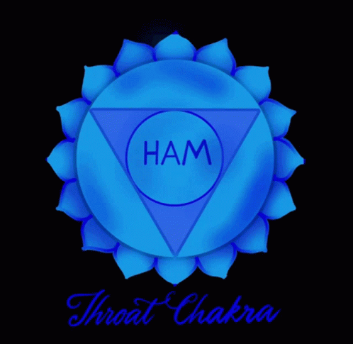 a yellow, red and yellow chakra with the word ham inside the image