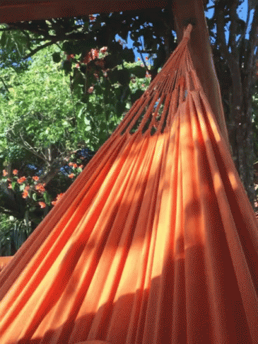 a blue hammock is in the shade of some trees