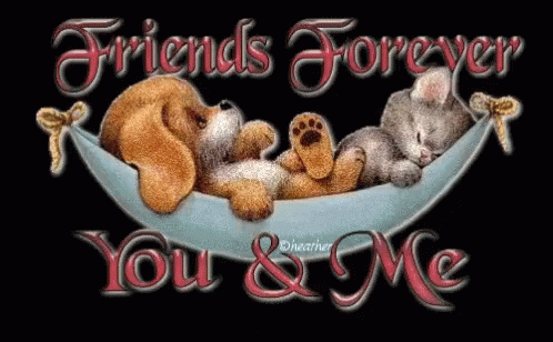 two teddy bears in a hammock with text friends forever you & me