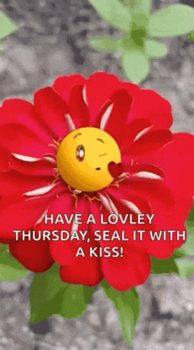 a flower with the quote have a lovely day, seal it with a kiss