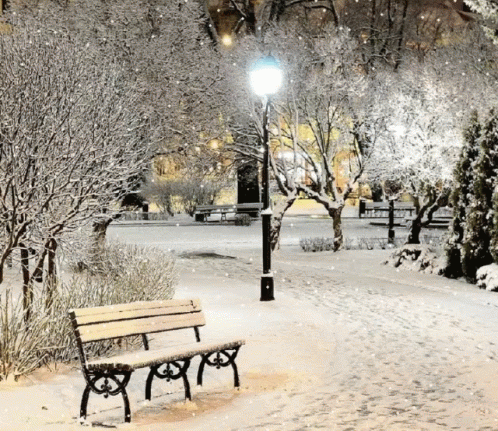 park bench covered in snow at night with street lamp and snow - covered ground