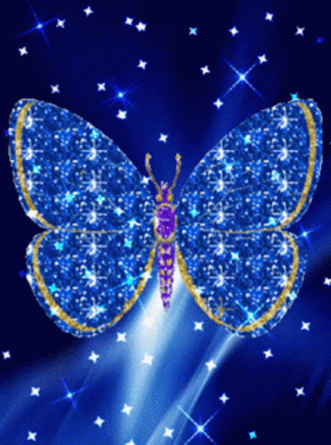 the erfly is made up of many tiny stars