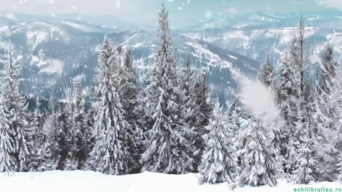a view of snowy trees with mountains in the background