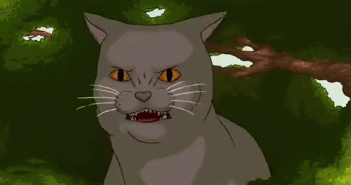 a cartoon image of a cat with blue eyes