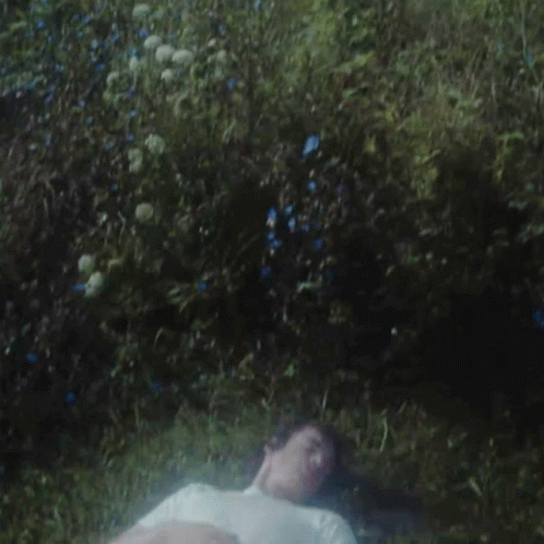 a man lies on the grass near orange flowers