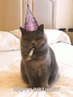 the cat is sitting on a bed wearing a birthday hat