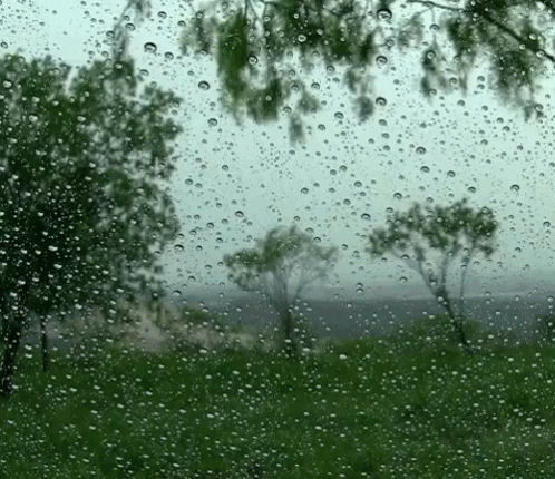 rain on the window as a view of trees on the horizon