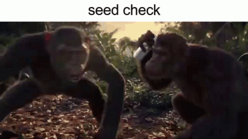 two monkeys in the wild one eating food and the other reading a seed check