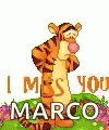 the front cover of the book i m s you marco