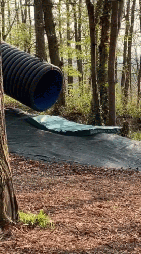 large pipe in the forest with no trees