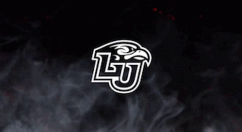 black and white image with a college of southern florida logo
