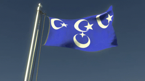 a flag waving in the wind on a brown background
